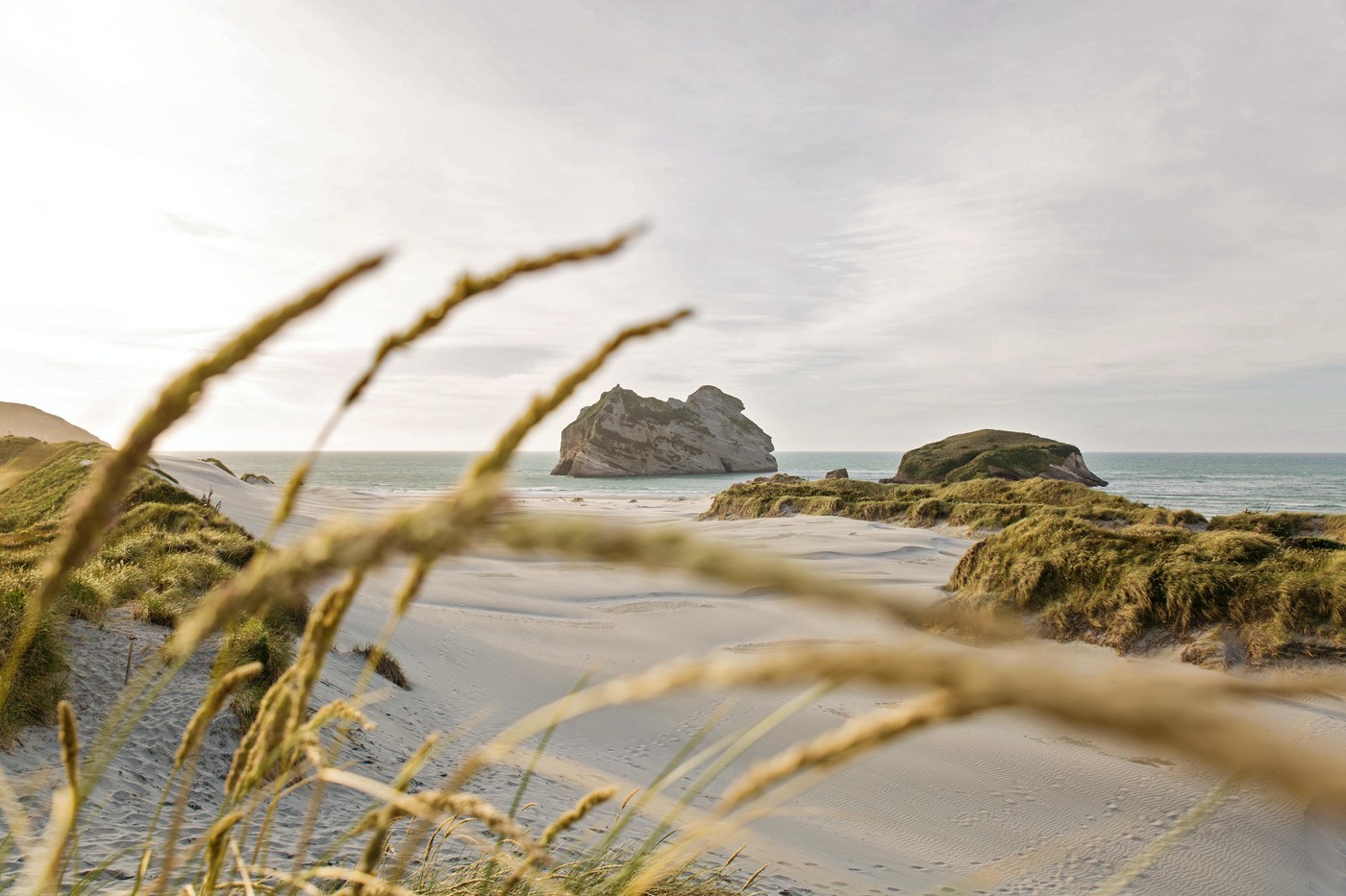 Advance care planning - Whenua ki te whenua